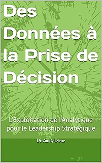 Des Données à la Prise de Décision: L